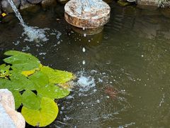 -荒度咖啡(北九水店)