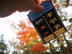 -三鹰之森吉卜力美术馆