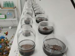 -边渡咖啡烘焙店(昙华林店)