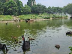 -北京野生动物园