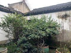 -院子餐厅·大锅菜·老杭帮(桥西直街店)
