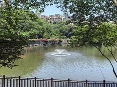 -重庆彩云湖湿地公园