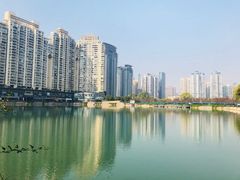 -西北湖绿化广场