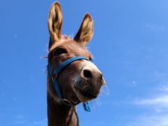 -快乐迪KTV(中山路店)