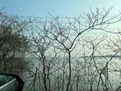 -同里国家湿地公园