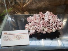 -中国第四纪冰川遗迹陈列馆