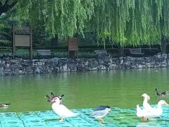 -团结湖公园
