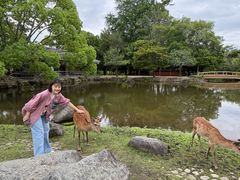 -奈良公园