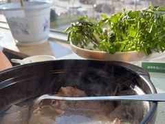 -烹然四季椰子鸡火锅(团结湖总店)