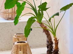 -HUATA 'Holiday Plan 花榻