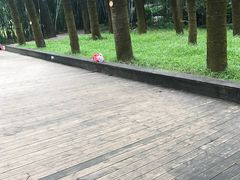 -金山植物公园