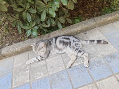 -海底捞火锅(金地广场生日主题店)