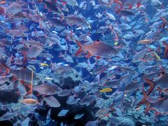 -成都浩海立方海洋公园