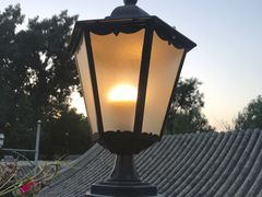 -Sirena海妖日咖夜酒