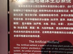 -成都市活水公园