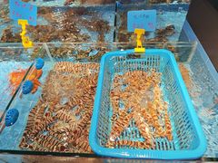 -天天海鲜城·海鲜大排档(新溪店)