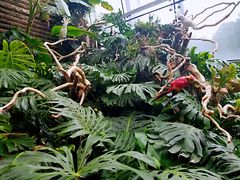 -北京植物园-展览温室