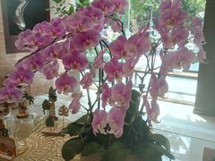 -上海浦东丽晟假日酒店