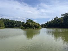 -广州白江湖森林公园