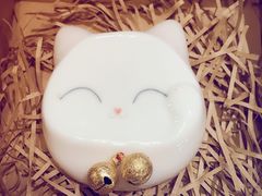 -猫的天空之城概念书店(西塘古镇店)