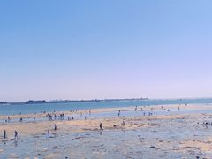 -北海金海湾红树林生态旅游区