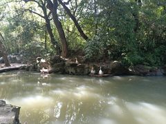 -兰亭风景区