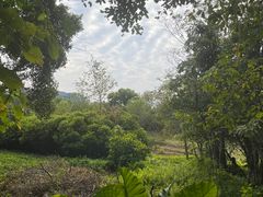 -华侨城湿地公园