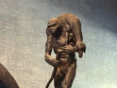-北京周口店北京人遗址博物馆