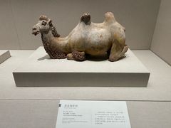 -深圳博物馆(古代艺术馆)