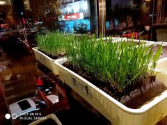 -怪兽炸鸡.轻沙拉(锦州店)