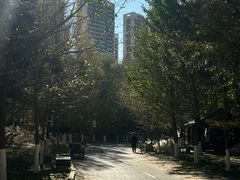 -长白岛森林公园