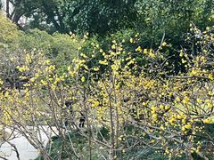 -无锡梅园公园