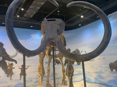 -辽宁古生物博物馆
