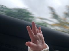 -稻香村鱼庄