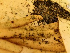 -麦当劳(广州新港东路第二分店)