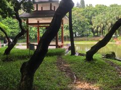-黄埔荔枝公园