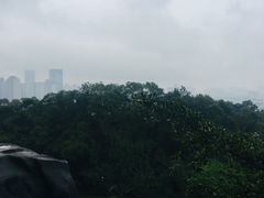 -金鸡山公园