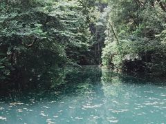 -之江大学-旧址