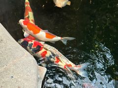 -北京SKP