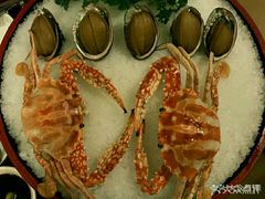 -宜宾海鲜酒家·三十年老字号