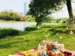 -艾溪湖湿地公园