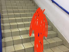 -重庆市奥林匹克体育中心-游泳跳水馆