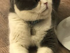-小时光咖啡馆(开森度假森林店)