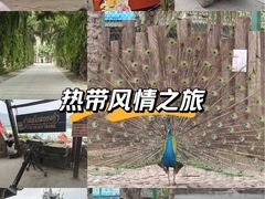 -西双版纳傣族园