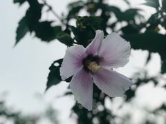 -径山寺