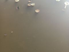 -前关湿地公园