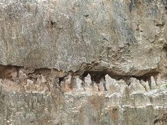 -彩色沙林风景区