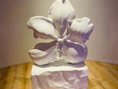 -涨巢·潮玩水疗局