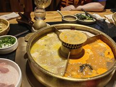 -巴奴毛肚火锅(九洲店)