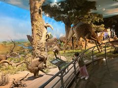 -国家自然博物馆